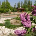 Grădina botanică Donetsk, excursii de grădină botanică Donetsk, telefon cu grădină botanică Donetsk