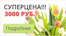 Livrarea de flori în Sankt Petersburg non stop