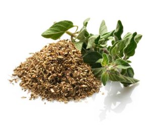 Oregano (oregano) proprietăți utile și contraindicații