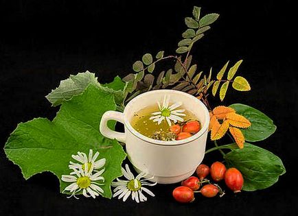 Hatékony tisztító tea a test - összetétel, típusai