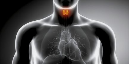 Endocrinologie și metabolism