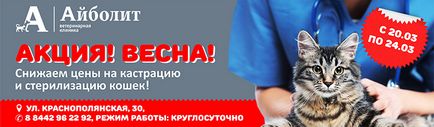 Erőteljes klyaksik verseny - a legszebb macska 2017 (fotók) Erőteljes klyaksik verseny - a legszebb macska 2017