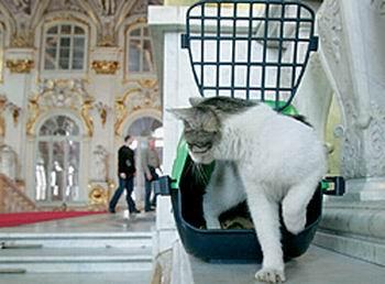 Hermitage pisici în viață și în artă - târg de maeștri - manual, manual