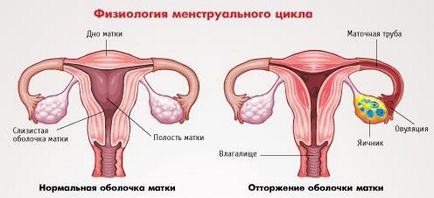 Якщо менструація 2 дня