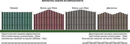 Euro-gard, ceea ce este, tipuri de euro gard, gard de europeni