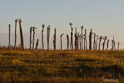 Фестиваль Архстояніе в Ніколо-лінивець калузької області