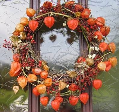 Physalis - decor pentru grădină și pentru casă