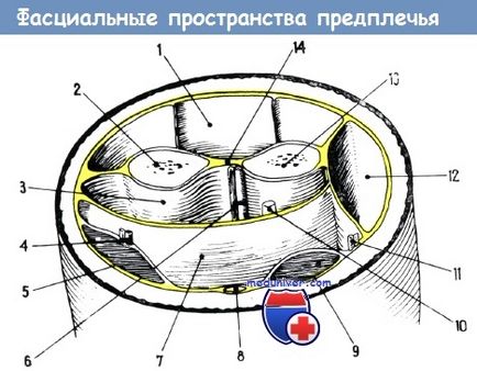 Antebrațul fantezie (vaporii spațiului) - diagnostic, tratament