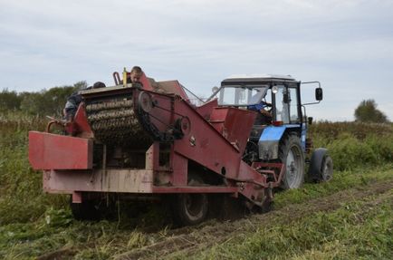 Фото господарство для себе або як живуть карельські фермери