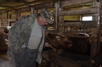 Фото господарство для себе або як живуть карельські фермери