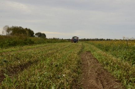 Фото господарство для себе або як живуть карельські фермери