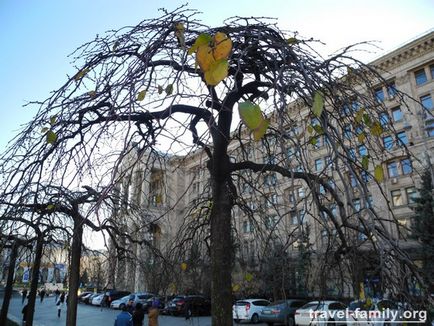 Unde să meargă în Kiev Independence Square - în zile diferite