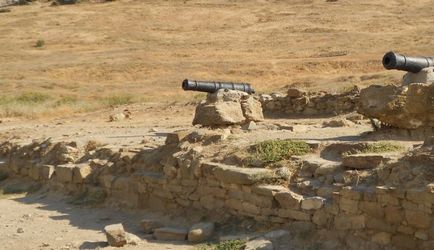 Cetatea zenoasă (zander) descrierea și istoricul apariției fotografiei