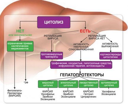 Hepatoprotectori la hepatită și ciroză hepatică grasă