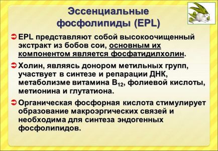 Гепатопротектори при гепатиті з і жировому цирозі печінки