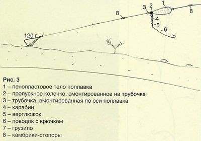 Обапола краще ловити в сутінках