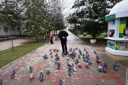 Гарячий ключ взимку цілющий парк