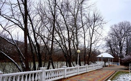 Télen gyorsgomb gyógyító park