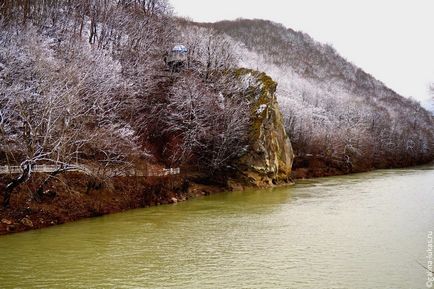 Télen gyorsgomb gyógyító park