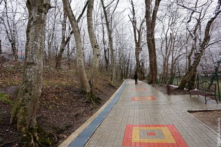 Hot cheie de primăvară în parcul de vindecare