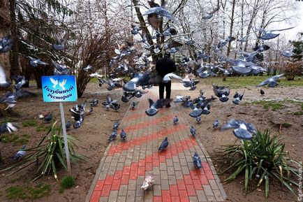 Гарячий ключ взимку цілющий парк