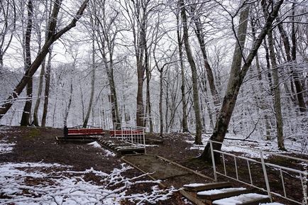 Гарячий ключ взимку цілющий парк