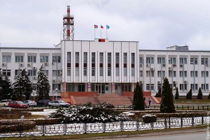 Télen gyorsgomb gyógyító park