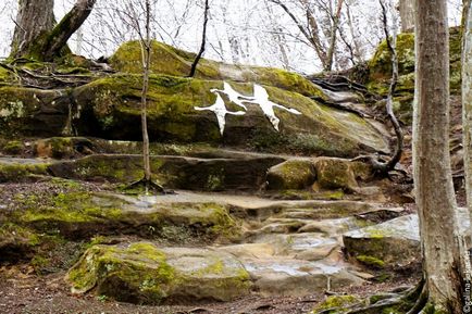 Télen gyorsgomb gyógyító park