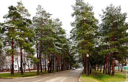 Гарячий ключ взимку цілющий парк