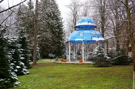 Гарячий ключ взимку цілющий парк