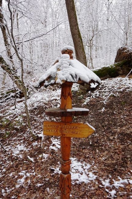 Télen gyorsgomb gyógyító park