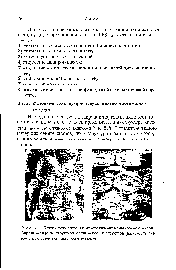 Vasele sanguine artificiale - ghidul chimistului 21