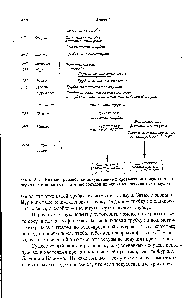 Vasele sanguine artificiale - ghidul chimistului 21