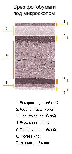 З чого складається фотопапір довідник