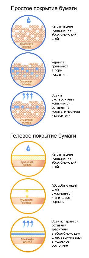 З чого складається фотопапір довідник