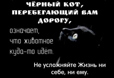 Як бути, якщо ви не можете визначити в який бік відбувається намаз