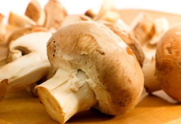 Ce ciuperci comestibile sunt consumate toamna