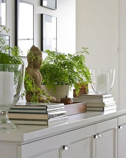 Hogyan használjuk Feng Shui színek a design lakberendezés (az öt elem a Feng Shui) Hogyan használjuk Feng Shui színek a design otthon belső