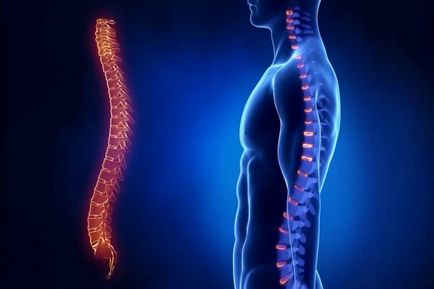 Cum să scapi de boli ale coloanei vertebrale și ale articulațiilor, blogul lui Malko