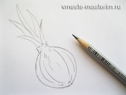 Як намалювати цибулю поетапно (майстер-клас)