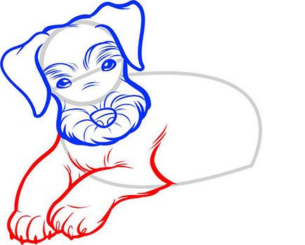 Hogyan kell felhívni a kutya ceruza szakaszában - fejlődésének egy logó és arculat, weboldal fejlesztés