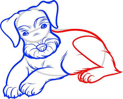 Hogyan kell felhívni a kutya ceruza szakaszában - fejlődésének egy logó és arculat, weboldal fejlesztés