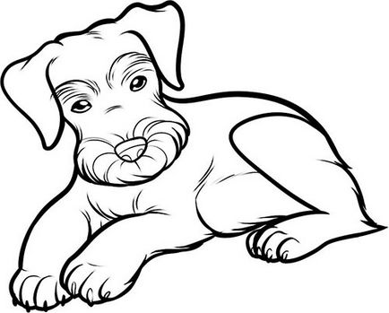 Як намалювати собаку олівцем поетапно - розробка логотипу та фірмового стилю, створення сайтів