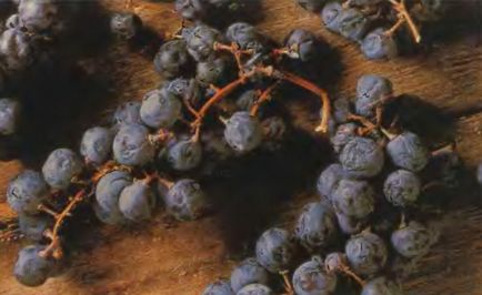 Як визначається вміст цукру у винограді