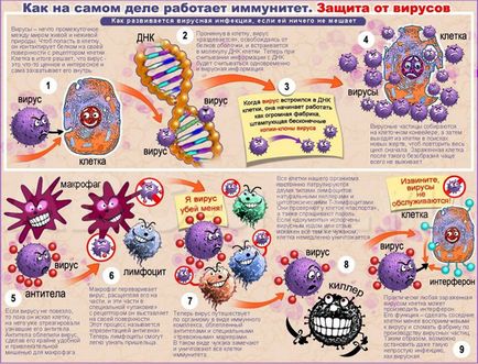 Як підвищувати імунітет у дитини