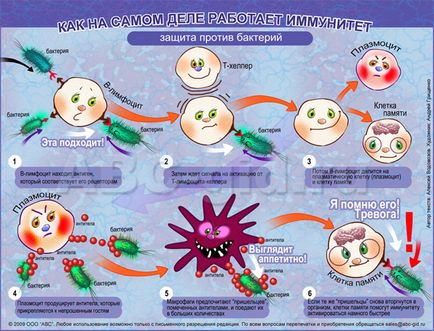 Як підвищувати імунітет у дитини
