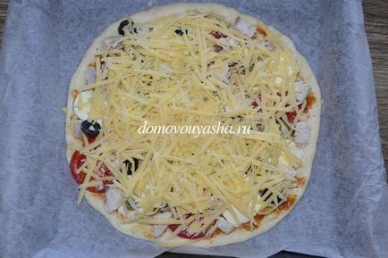 Cum să gătești o pizza delicioasă cu pui