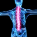 Cum să dezvolți o coloană vertebrală