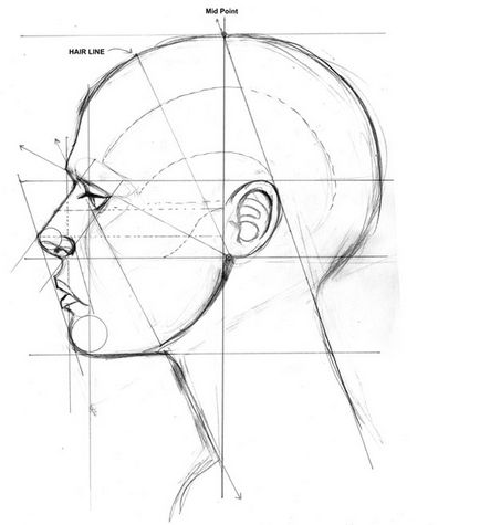 Cum să desenezi figuri într-un profil în etape - elementele de bază ale desenării unui portret