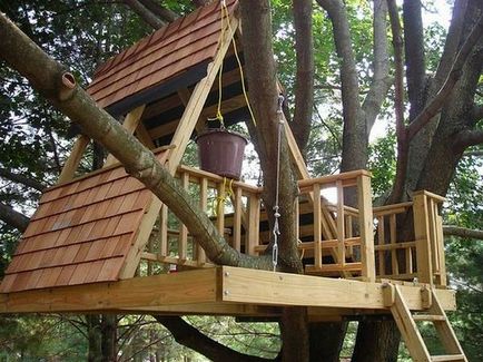 Як зробити будинок на дереві своїми руками технологія будівництва будинку на дереві дізнайтеся